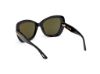 Picture of Tom Ford Icon Sunglasses FT1279