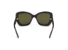 Picture of Tom Ford Icon Sunglasses FT1279
