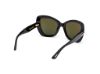 Picture of Tom Ford Icon Sunglasses FT1279