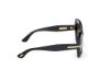 Picture of Tom Ford Icon Sunglasses FT1279