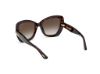 Picture of Tom Ford Icon Sunglasses FT1279