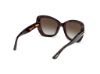 Picture of Tom Ford Icon Sunglasses FT1279