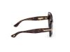 Picture of Tom Ford Icon Sunglasses FT1279