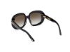 Picture of Tom Ford Icon Sunglasses FT1237-F