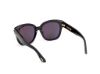 Picture of Tom Ford Icon Sunglasses FT1235