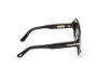 Picture of Tom Ford Icon Sunglasses FT1237-F
