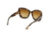 Picture of Tom Ford Icon Sunglasses FT1279