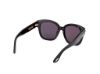 Picture of Tom Ford Icon Sunglasses FT1235