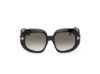 Picture of Tom Ford Icon Sunglasses FT1237-F