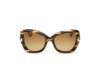 Picture of Tom Ford Icon Sunglasses FT1279