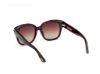 Picture of Tom Ford Icon Sunglasses FT1235