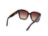 Picture of Tom Ford Icon Sunglasses FT1235
