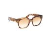 Picture of Tom Ford Icon Sunglasses FT1235