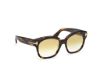 Picture of Tom Ford Icon Sunglasses FT1235