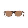 Picture of Cole Haan Sunglasses CH6089