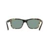Picture of Cole Haan Sunglasses CH6089
