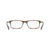 Picture of Calvin Klein Eyeglasses CK19569N