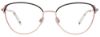 Picture of Takumi Eyeglasses TK1322