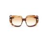 Picture of Tom Ford Icon Sunglasses FT1237