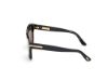 Picture of Tom Ford Icon Sunglasses FT1236