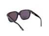 Picture of Tom Ford Icon Sunglasses FT1236