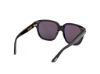 Picture of Tom Ford Icon Sunglasses FT1236
