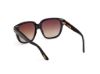 Picture of Tom Ford Icon Sunglasses FT1236