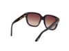 Picture of Tom Ford Icon Sunglasses FT1236