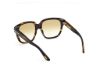 Picture of Tom Ford Icon Sunglasses FT1236