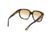 Picture of Tom Ford Icon Sunglasses FT1236