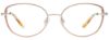 Picture of Easyclip Eyeglasses EC690