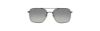 Picture of True Religion Sunwear Sunglasses TRU T5009