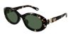 Picture of Chloe Sunglasses CH0323SK