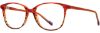 Picture of Scott Harris Eyeglasses SH-X 028
