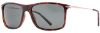 Picture of INVU Sunglasses INVU- 338