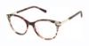 Picture of Superdry Eyeglasses SDOW033T