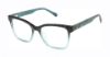 Picture of Superdry Eyeglasses SDOW031T