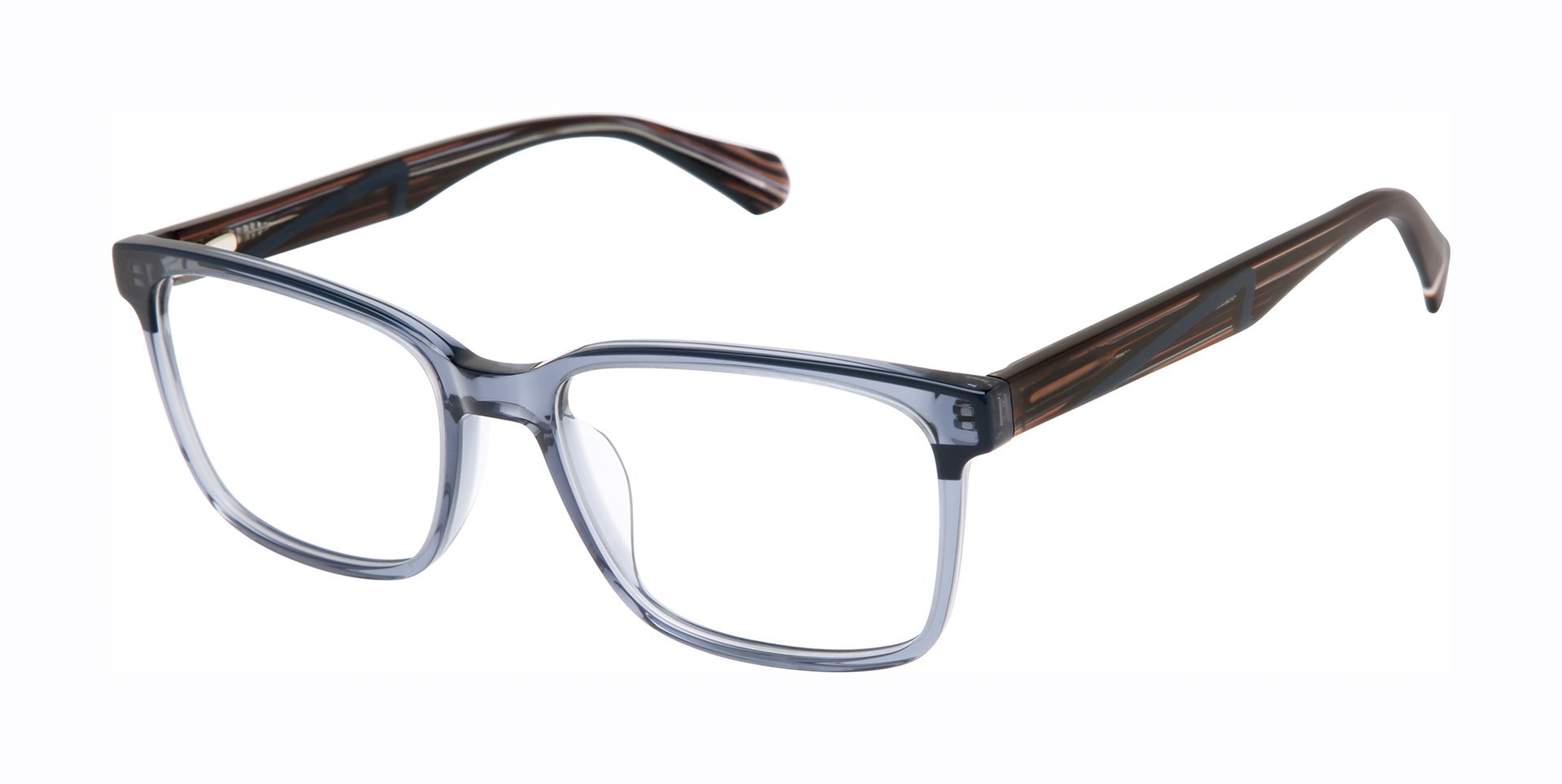 Picture of Superdry Eyeglasses SDOM022T