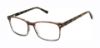 Picture of Buffalo David Bitton Eyeglasses BM036