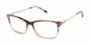 Picture of Ted Baker Eyeglasses TWUF008