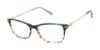 Picture of Ted Baker Eyeglasses TWUF008