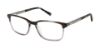 Picture of Ted Baker Eyeglasses TFM019