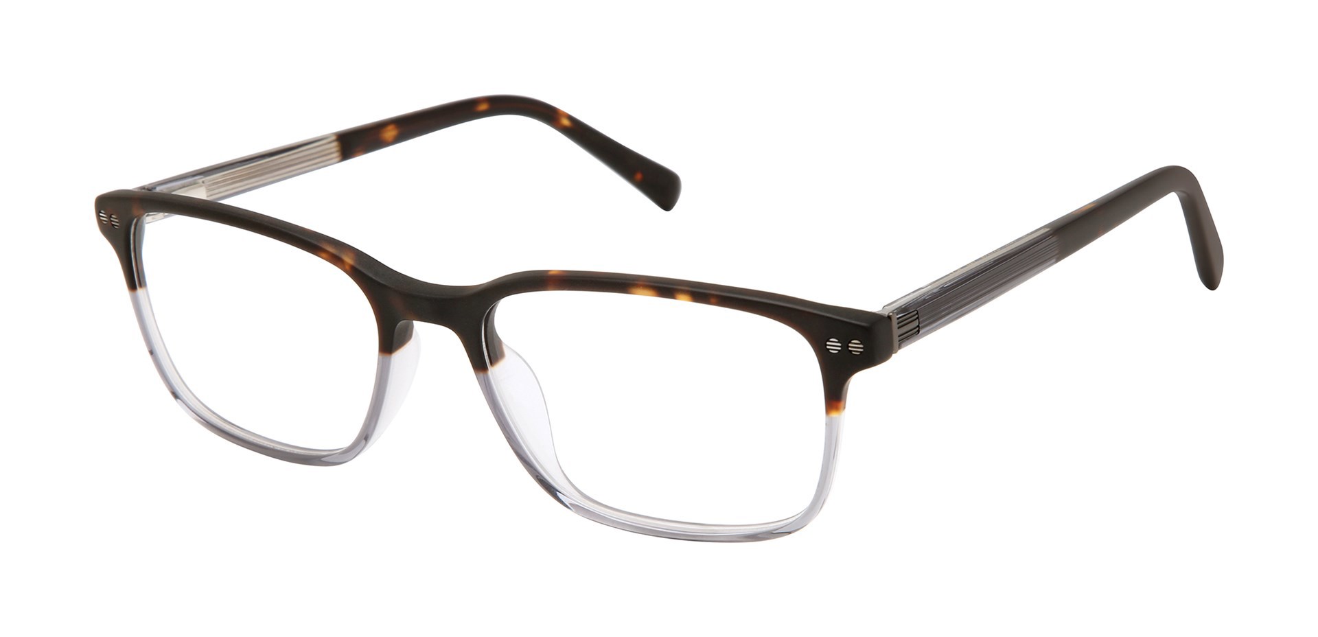 Picture of Ted Baker Eyeglasses TFM019