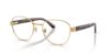 Picture of Ray Ban Eyeglasses RX6543