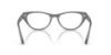 Picture of Ray Ban Eyeglasses RX5449D
