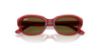 Picture of Ray Ban Sunglasses RJ9081S