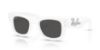 Picture of Ray Ban Sunglasses RB4940B
