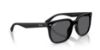 Picture of Ray Ban Sunglasses RB4466D