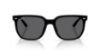 Picture of Ray Ban Sunglasses RB4466D