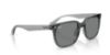 Picture of Ray Ban Sunglasses RB4466D